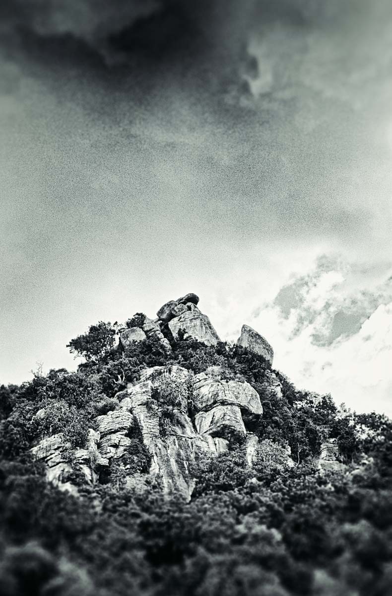 Landscapes